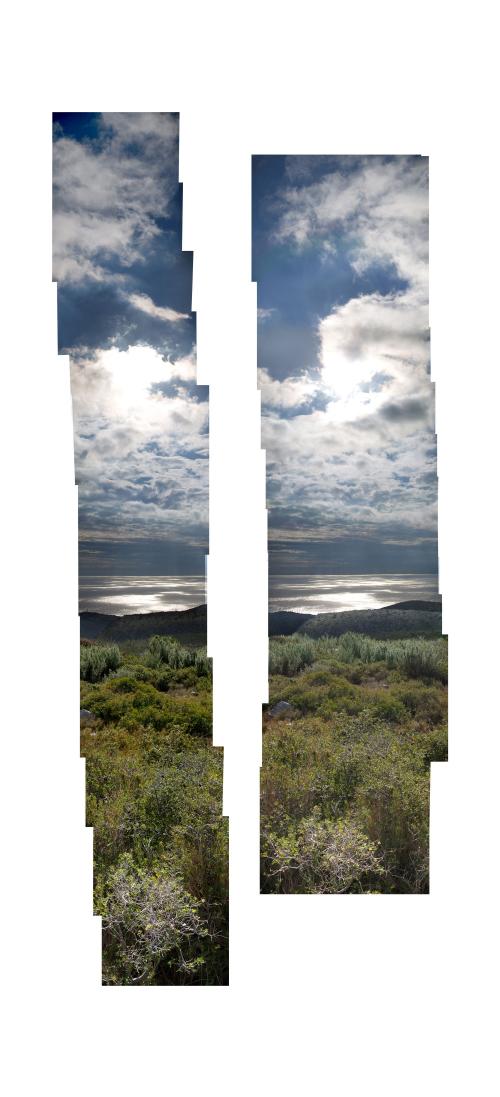 Paisaje vertical (2008) Edición 5 ejemplares de 50 x 100 cm